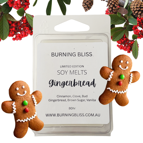 Gingerbread Soy Melts