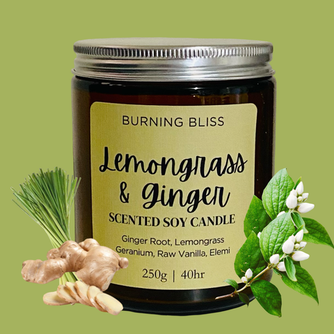 Lemongrass & Ginger Soy Candle